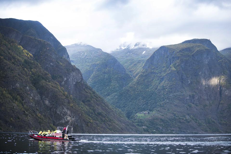 Ut ein tur med Fjord Safari.